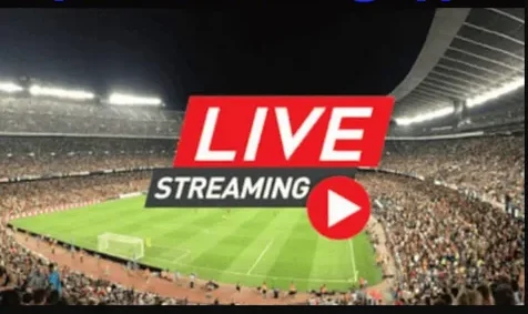 live streamers